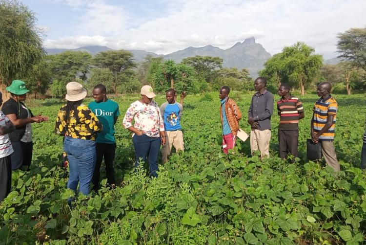 Transforming and impacting communities through promotion of technologies on integrated soil fertility management