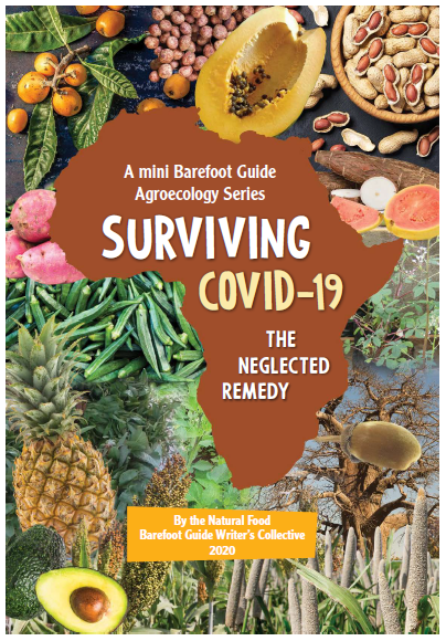 Barefoot Guide to Surviving Covid-19-the-neglected-remedy mini book