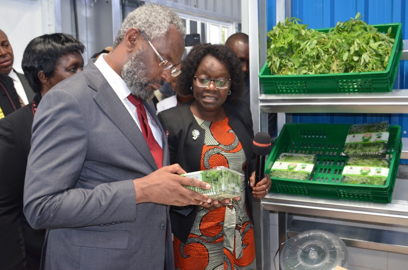 Prof. Kiama takes a closer look at the plucked and packaged vegetables in branded punnets