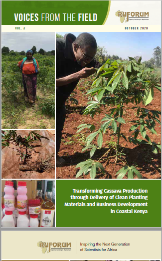Transforming Cassava Production Through Clean Planting Materials