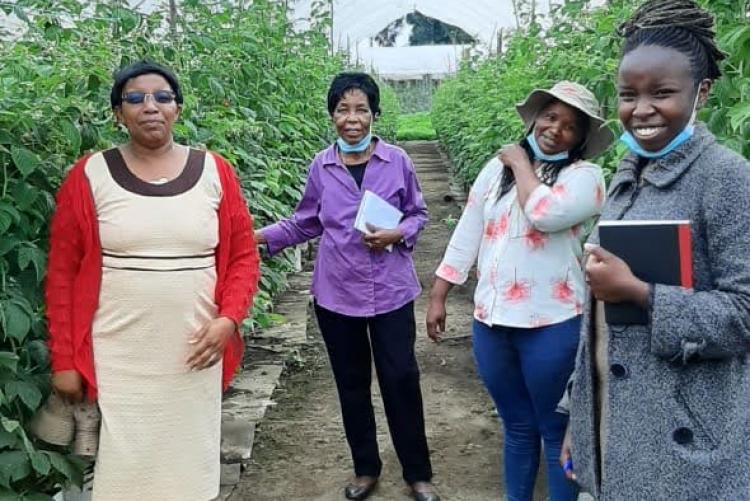 VISIT TO LONGONOT FARM IN NAIVASHA TO NEGOTIATE  ON IMPLEMENTATION PLAN FOR CONDUCTING EFFICACY TRIALS OF SOFT FRUIT CROPS