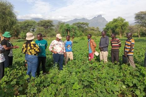 Transforming and impacting communities through promotion of technologies on integrated soil fertility management